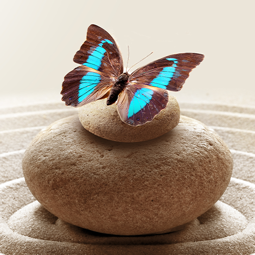 Common Pitfalls in Meditation Practice