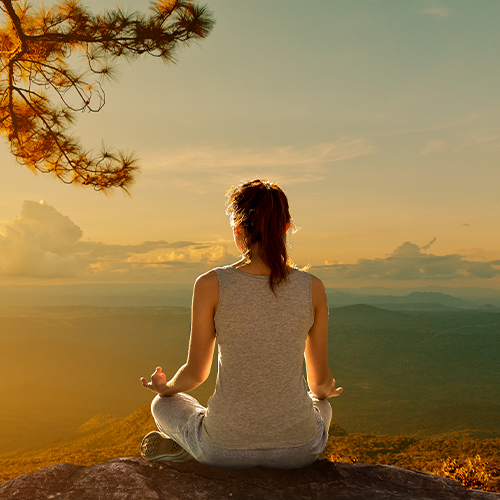 Which Meditation to Choose?